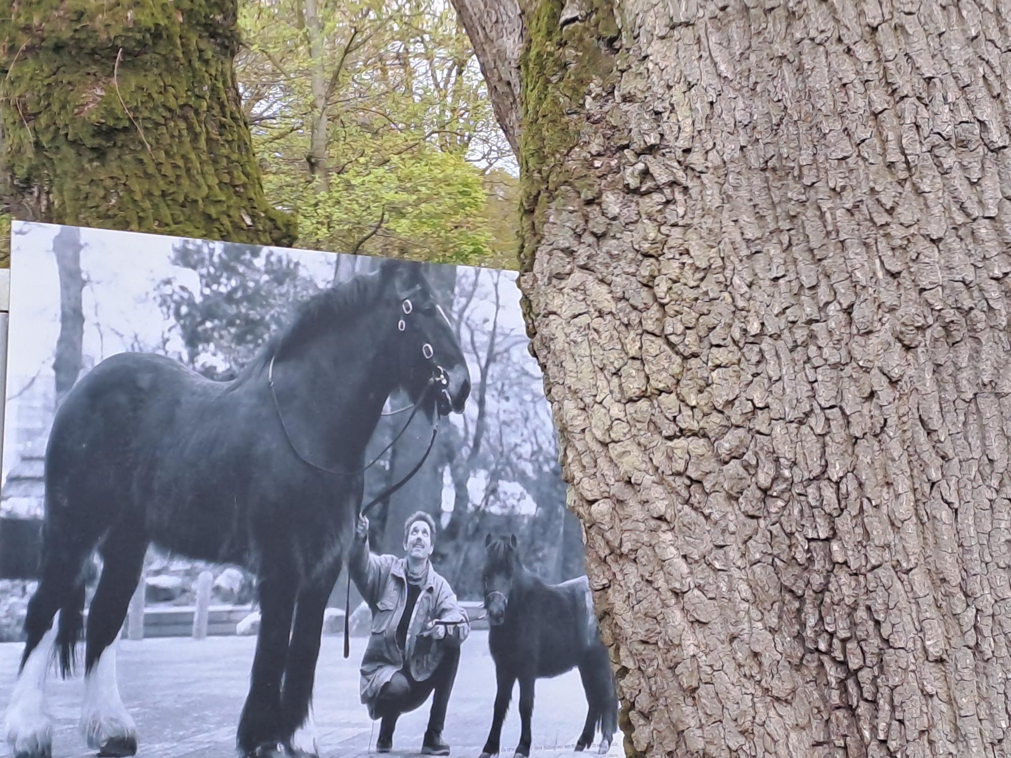 Rensenpark, Emmen