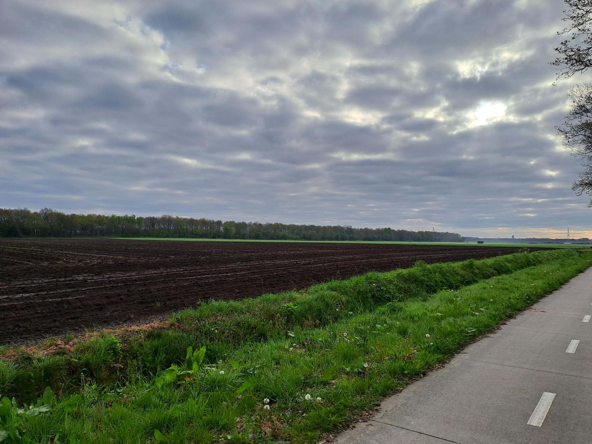 Dagelijkse fietstocht van Noord-Sleen naar Emmen